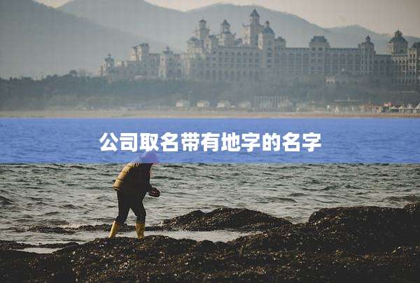 公司取名带有地字的名字