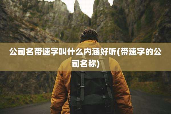 公司名带速字叫什么内涵好听(带速字的公司名称)