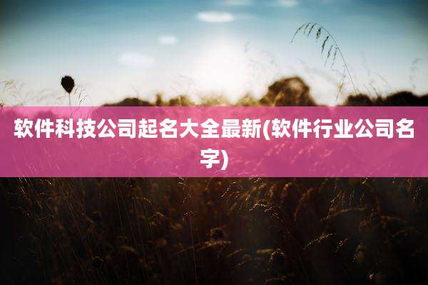 软件科技公司起名大全最新(软件行业公司名字)