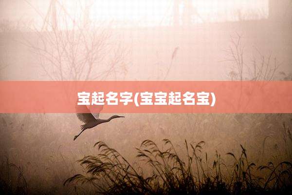 宝起名字(宝宝起名宝)