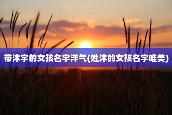 带沐字的女孩名字洋气(姓沐的女孩名字唯美)