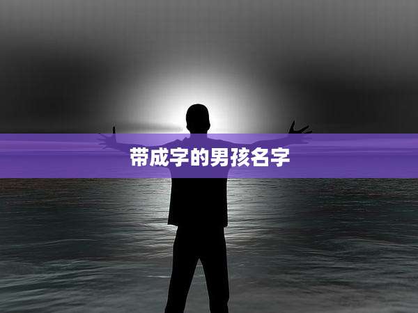 带成字的男孩名字