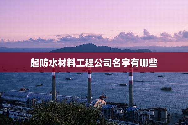 起防水材料工程公司名字有哪些