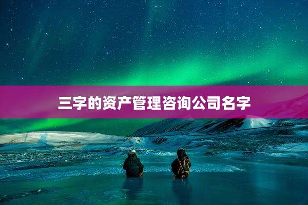 三字的资产管理咨询公司名字