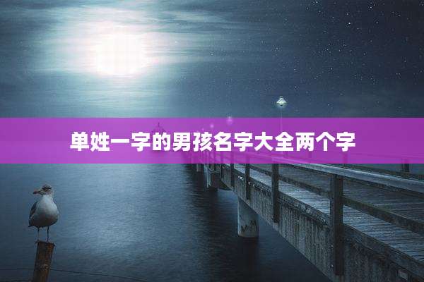 单姓一字的男孩名字大全两个字