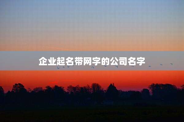 企业起名带网字的公司名字