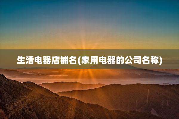 生活电器店铺名(家用电器的公司名称)