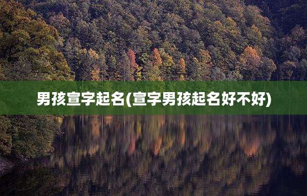 男孩宣字起名(宣字男孩起名好不好)