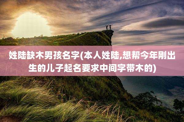 姓陆缺木男孩名字(本人姓陆,想帮今年刚出生的儿子起名要求中间字带木的)