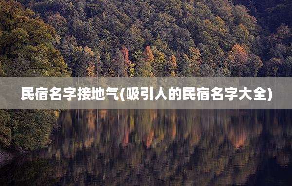 民宿名字接地气(吸引人的民宿名字大全)