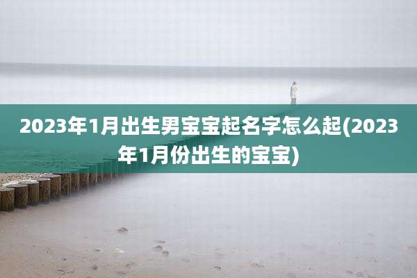 2023年1月出生男宝宝起名字怎么起(2023年1月份出生的宝宝)