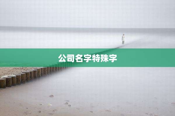 公司名字特殊字