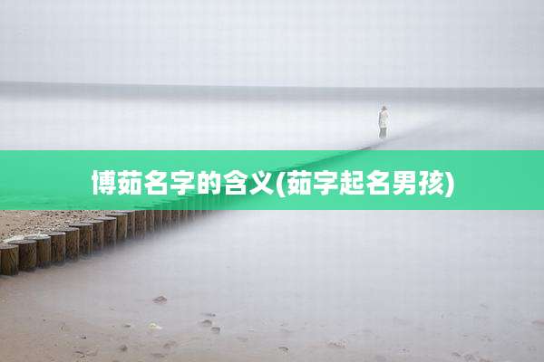 博茹名字的含义(茹字起名男孩)