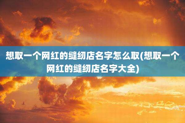 想取一个网红的缝纫店名字怎么取(想取一个网红的缝纫店名字大全)