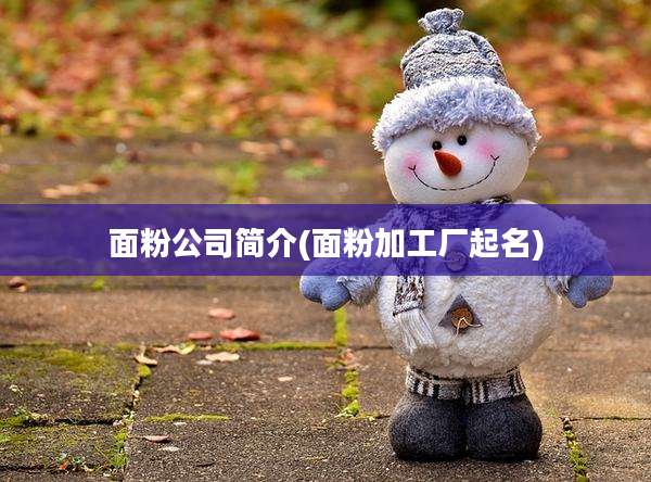 面粉公司简介(面粉加工厂起名)