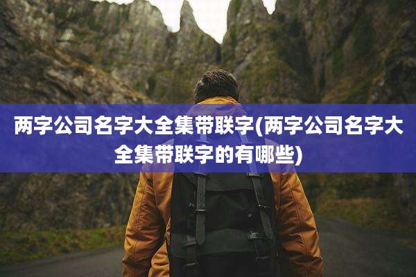 两字公司名字大全集带联字(两字公司名字大全集带联字的有哪些)