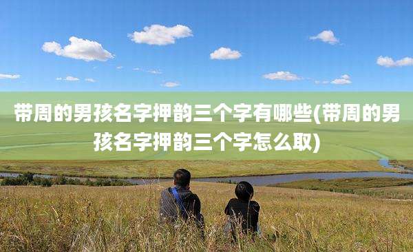 带周的男孩名字押韵三个字有哪些(带周的男孩名字押韵三个字怎么取)