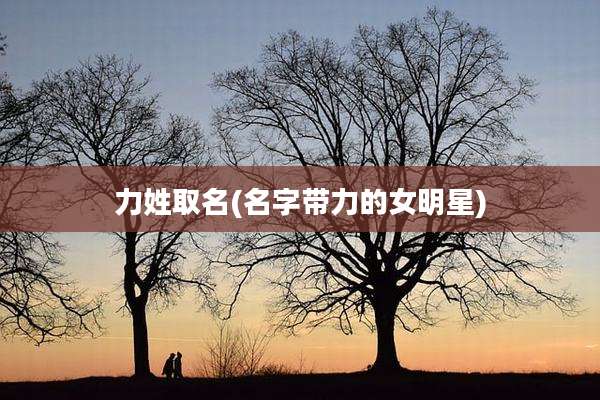 力姓取名(名字带力的女明星)