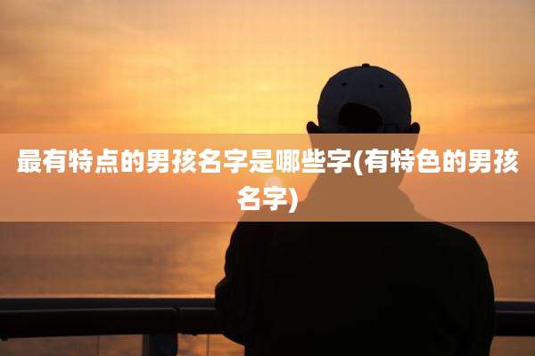 最有特点的男孩名字是哪些字(有特色的男孩名字)