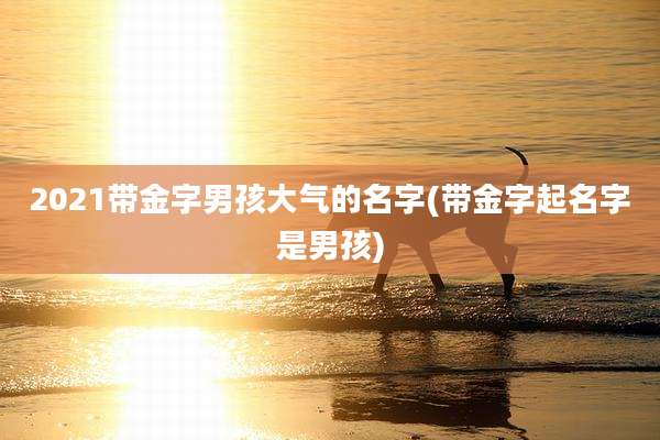 2021带金字男孩大气的名字(带金字起名字是男孩)