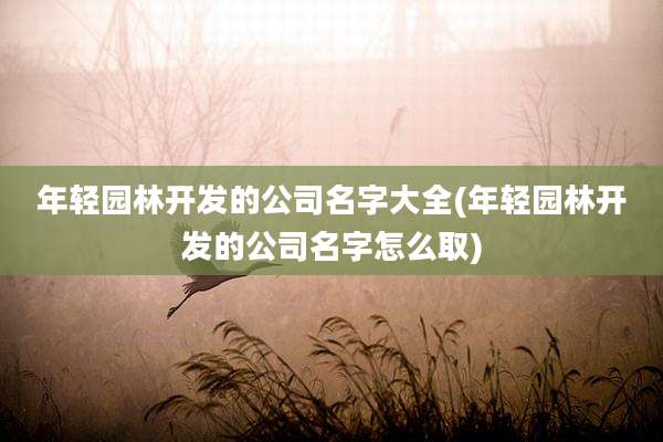 年轻园林开发的公司名字大全(年轻园林开发的公司名字怎么取)