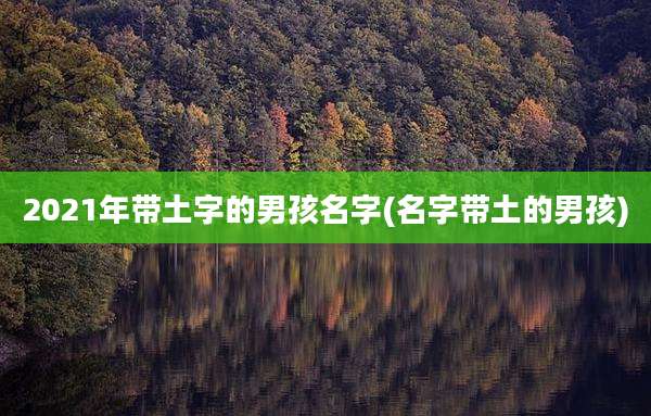 2021年带土字的男孩名字(名字带土的男孩)