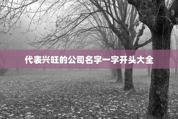 代表兴旺的公司名字一字开头大全