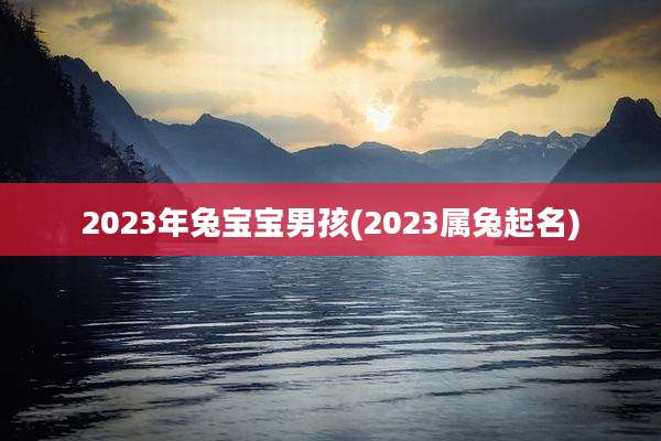 2023年兔宝宝男孩(2023属兔起名)
