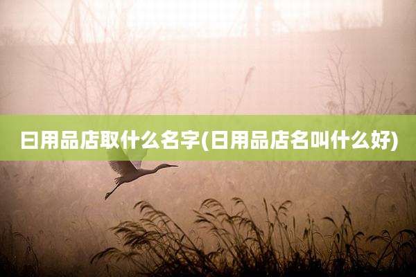 曰用品店取什么名字(日用品店名叫什么好)