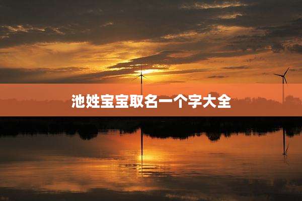 池姓宝宝取名一个字大全