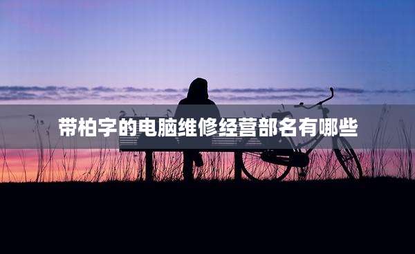 带柏字的电脑维修经营部名有哪些