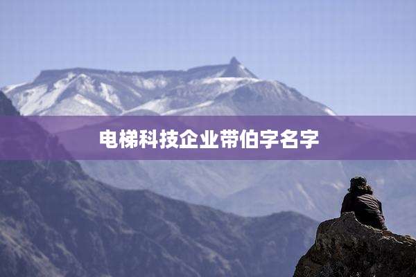 电梯科技企业带伯字名字