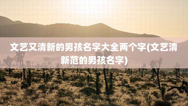 文艺又清新的男孩名字大全两个字(文艺清新范的男孩名字)