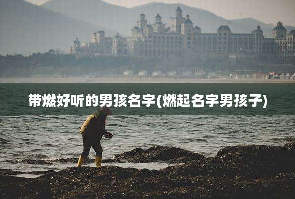 带燃好听的男孩名字(燃起名字男孩子)
