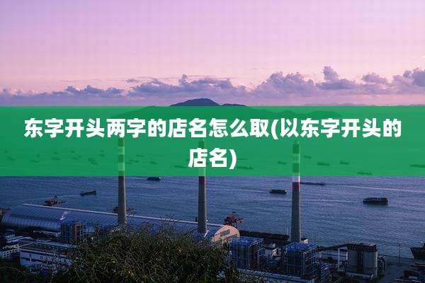 东字开头两字的店名怎么取(以东字开头的店名)