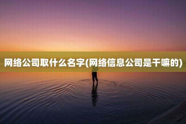 网络公司取什么名字(网络信息公司是干嘛的)