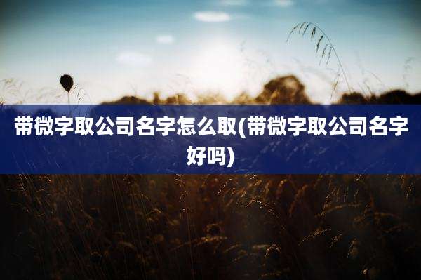 带微字取公司名字怎么取(带微字取公司名字好吗)