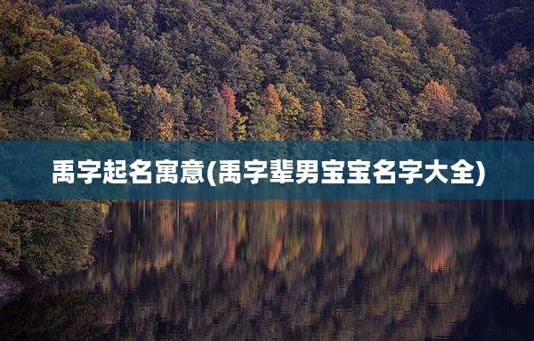 禹字起名寓意(禹字辈男宝宝名字大全)