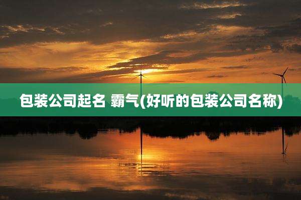 包装公司起名 霸气(好听的包装公司名称)