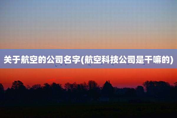 关于航空的公司名字(航空科技公司是干嘛的)