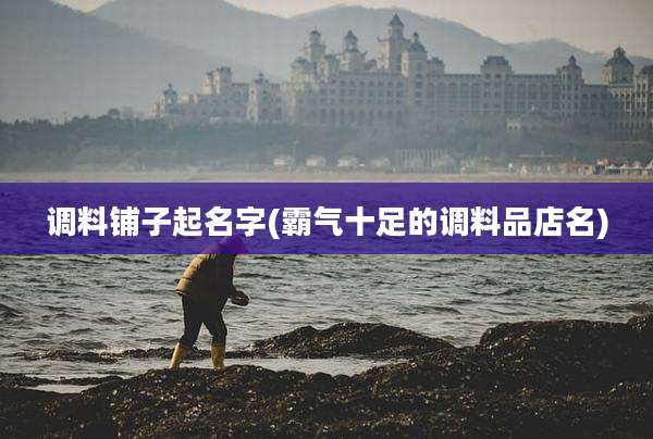 调料铺子起名字(霸气十足的调料品店名)