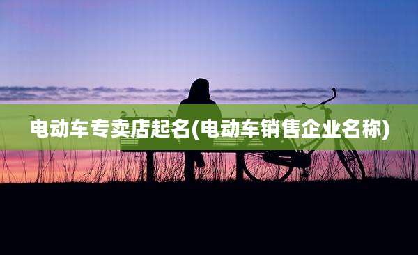 电动车专卖店起名(电动车销售企业名称)