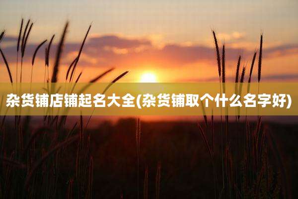 杂货铺店铺起名大全(杂货铺取个什么名字好)