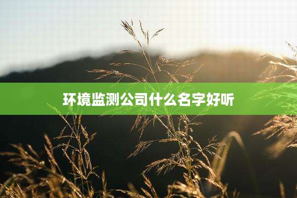 环境监测公司什么名字好听