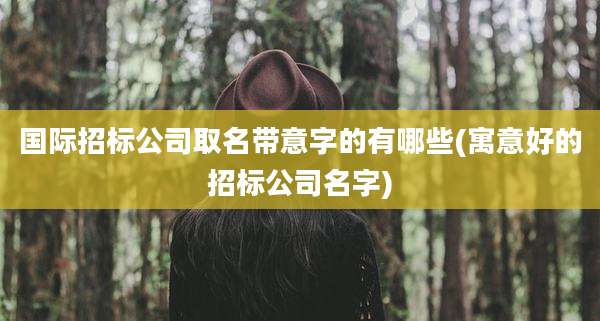国际招标公司取名带意字的有哪些(寓意好的招标公司名字)