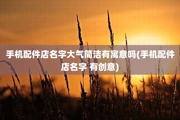 手机配件店名字大气简洁有寓意吗(手机配件店名字 有创意)