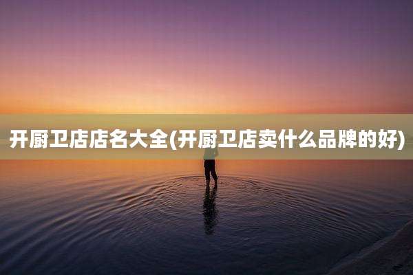 开厨卫店店名大全(开厨卫店卖什么品牌的好)