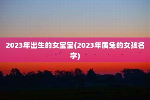 2023年出生的女宝宝(2023年属兔的女孩名字)