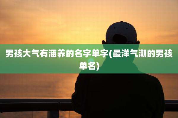 男孩大气有涵养的名字单字(最洋气潮的男孩单名)