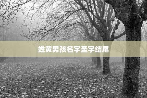 姓黄男孩名字圣字结尾